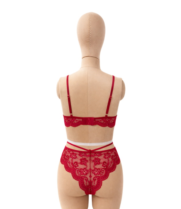 scarlet-bow-lace-bralette-brief-set-back-mannequin